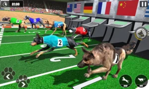 Cách Tham Gia Game Nhanh Đua Chó Tại B52 Club Thắng Lớn Dễ Dàng