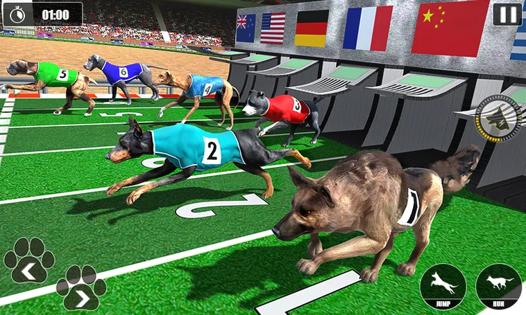Cách Tham Gia Game Nhanh Đua Chó Tại B52 Club Thắng Lớn Dễ Dàng